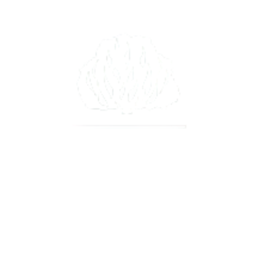 Igreja Presbiteriana do Brasil em Erechim